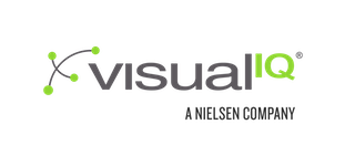 visualIQ Logo